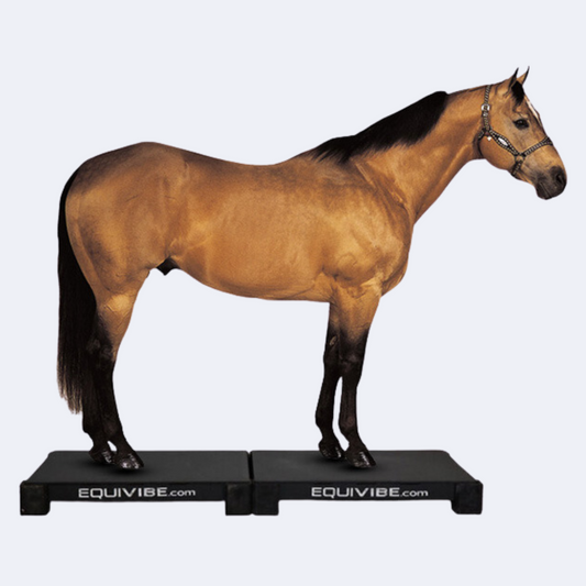Equivibe Therapy Plate